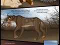 outcast_p56_by_savu0211-d47yxcz.jpg